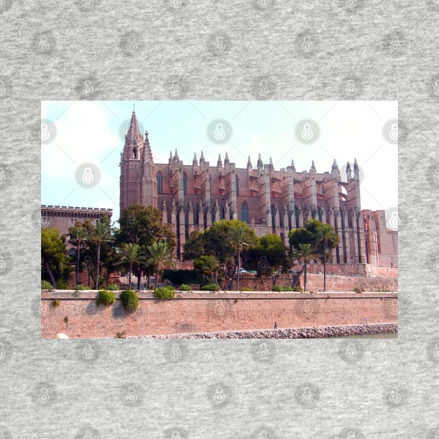 Palma Cathedral by tomg